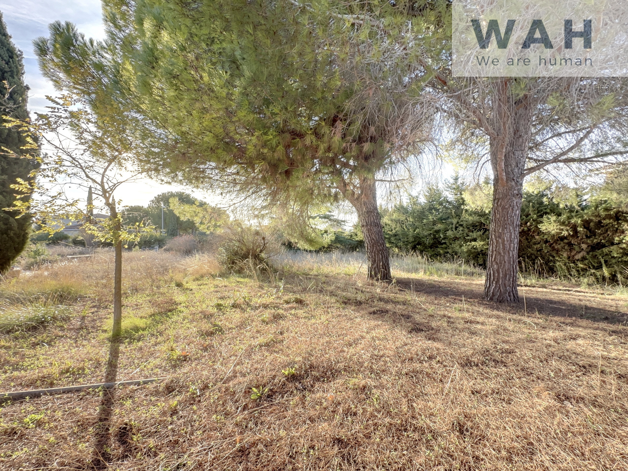 Agence immobilière de WAH - Fabrice DEROZIE