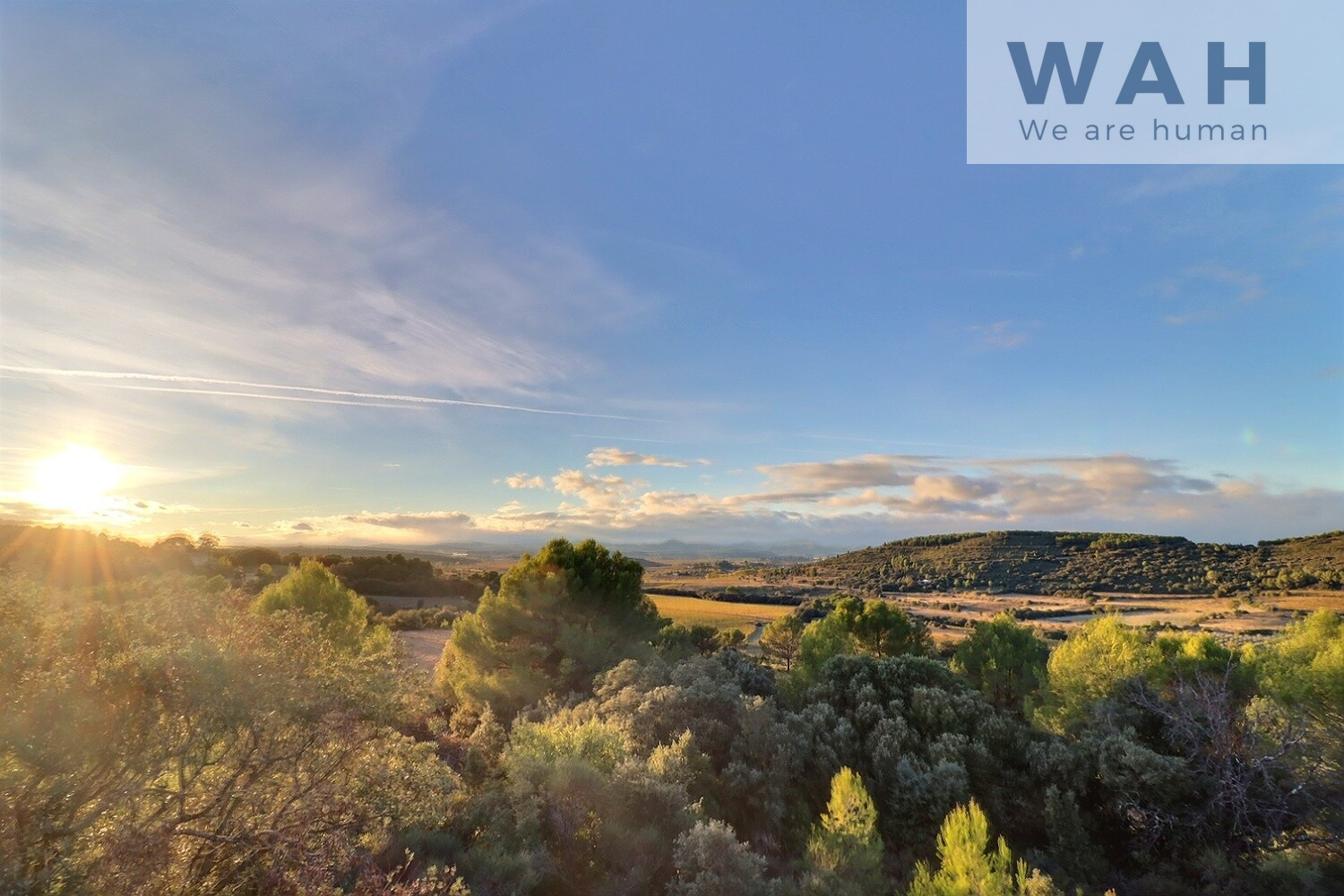 Agence immobilière de Wah Clermont L hérault